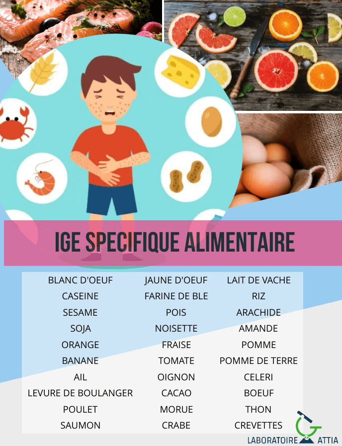 IGE-ALIMENTAIRE1