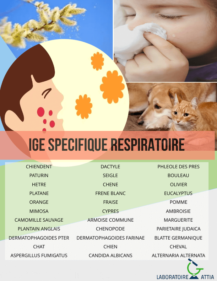 IGE-RESPIRATOIRE2