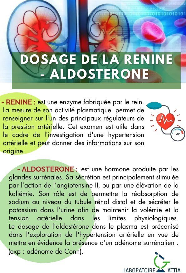 RENINE-ALDOSTERONE6