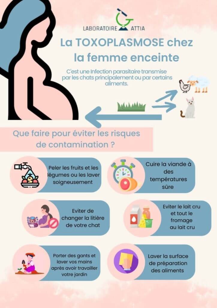 la-toxoplasmose-chez-la-femme-enceinte-724x1024